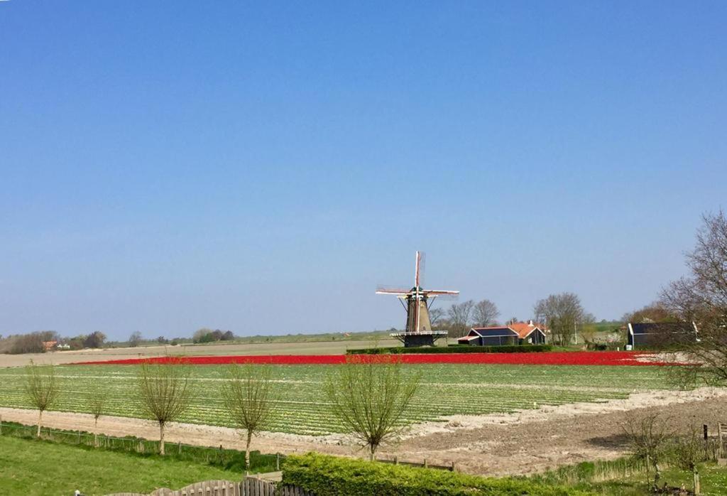 Zonnemaire T Huuske Tuinappartement Met Fantastisch Uitzicht, Nabij Zee מראה חיצוני תמונה